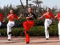 舞动旋律2007 法老王 广场舞舞曲 免费下载 时