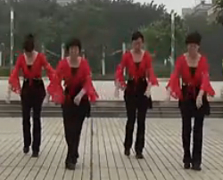 坚真公园广场舞中国style 视频舞曲免费下载