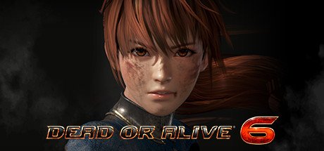 DEAD OR ALIVE 6 Fighting